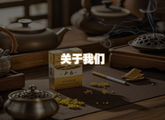 关于御龙烟网